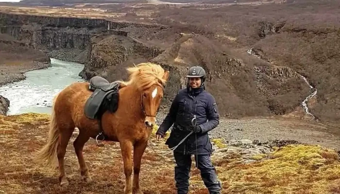 Myrkholt- hestar - 801 Bláskógabyggð