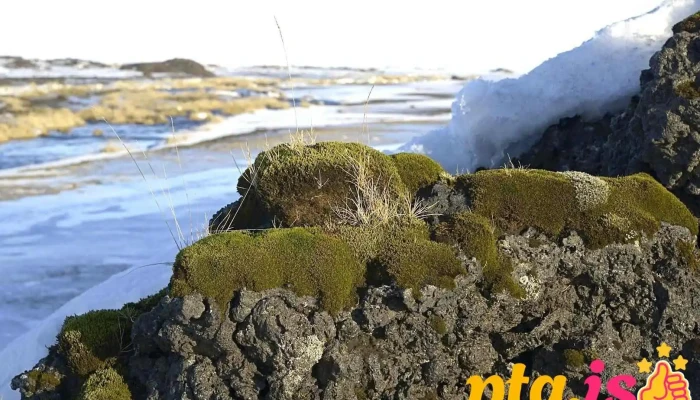 Mýrdalssandur - Iceland