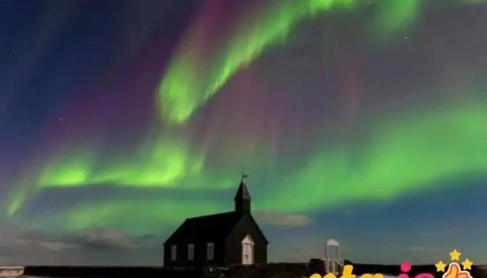 Nordic Visitor -  Ferðaskrifstofa - Reykjavík