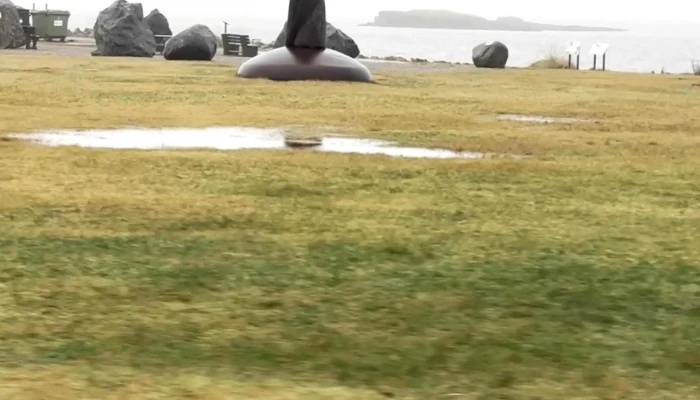Nyheimar Staðsetning - Höfn Í Hornafirði