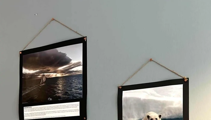 Ocean Missions -  Einkunn - Húsavík