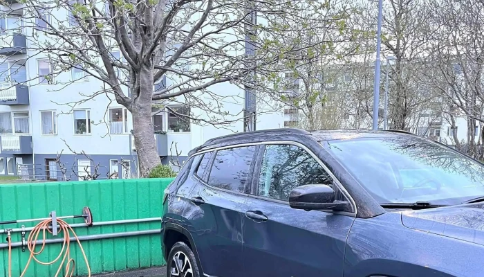 Olis Einkunn - Reykjavík