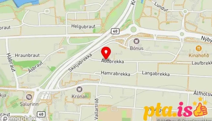 Oreind Rafeindathjonusta Ehf Kort - Kópavogur