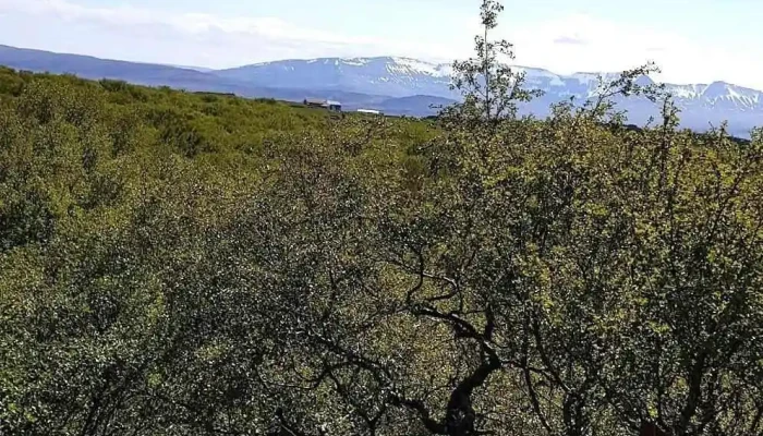 Orlofshus Svignaskardi Thjonusta - Borgarnes