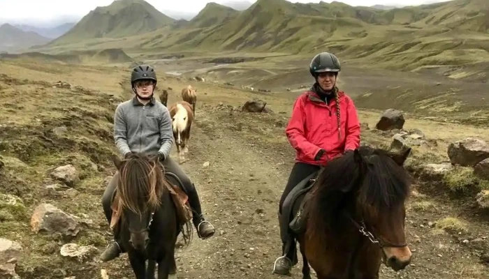 Parliament Horses - 806 Bláskógabyggð