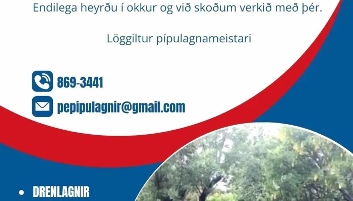 Pepípulagnir - Iceland
