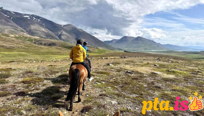 Pólar Hestar - 616 Grenivík