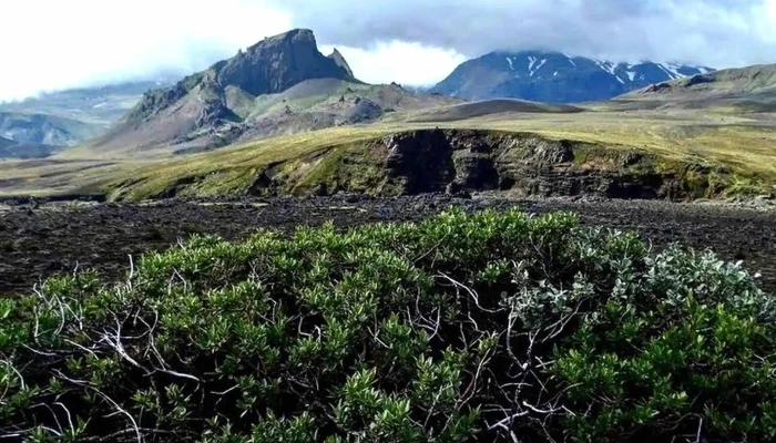 Rangarthing Ytra Staðsetning - Hella