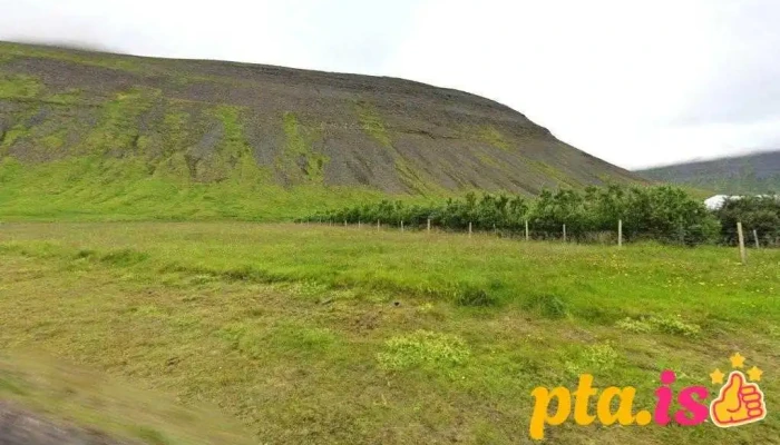 Réttarholtskirkjugarður - Ísafjörður