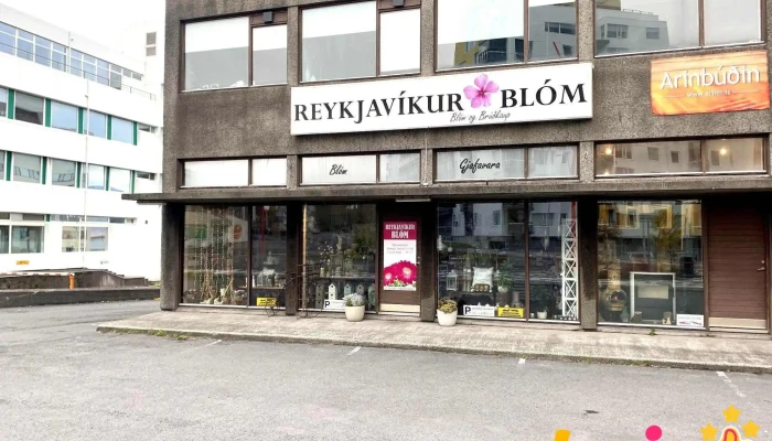 Reykjavíkurblóm - 105 Reykjavík