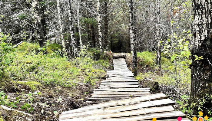 Rotaryklubbur Hafnarfjardar Grenndargarður - Hafnarfjörður