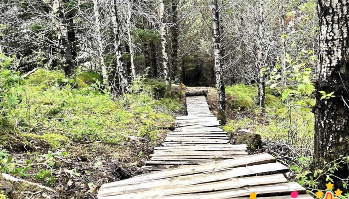 Rótarýklúbbur Hafnarfjarðar - Hafnarfjörður