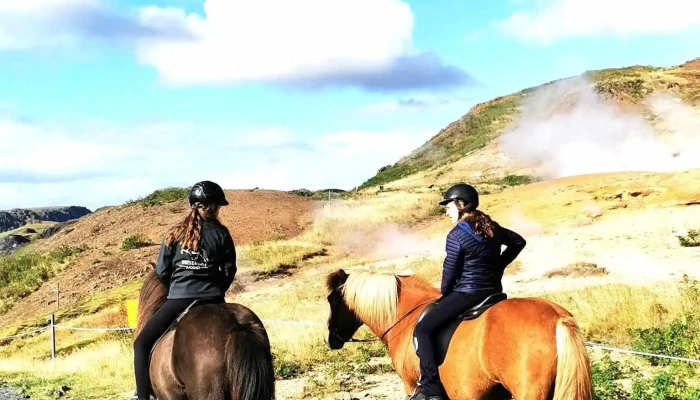 Sale horses Sabine Girke - 816 Sveitarfélagið Ölfus