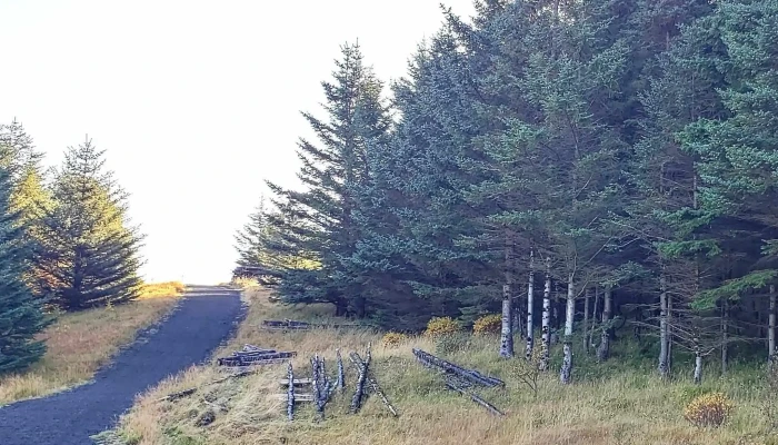 Selskogur Hvernig A Að Komast þangað - Grindavík