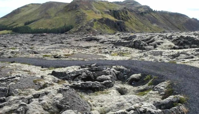 Selskogur Instagram - Grindavík