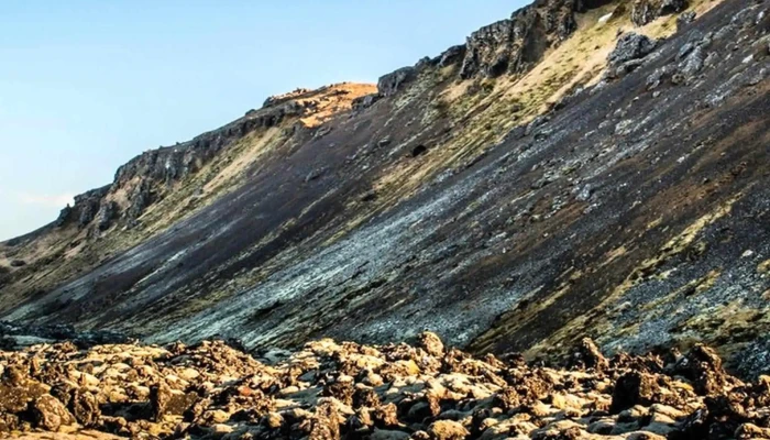 Selskogur Simi - Grindavík