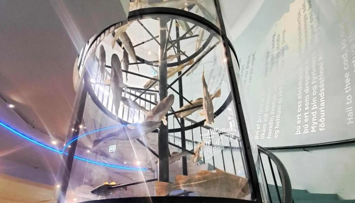 Sjominjasafnid I Reykjavik Reykjavik Maritime Museum Einkunn - Reykjavík