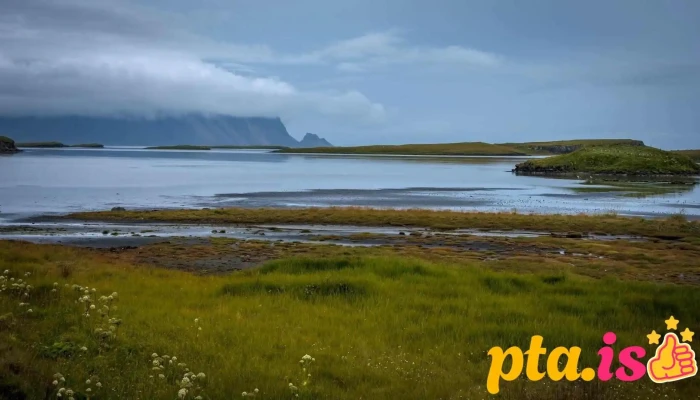 Skarðsfjörður Viewpoint - Höfn Í Hornafirði