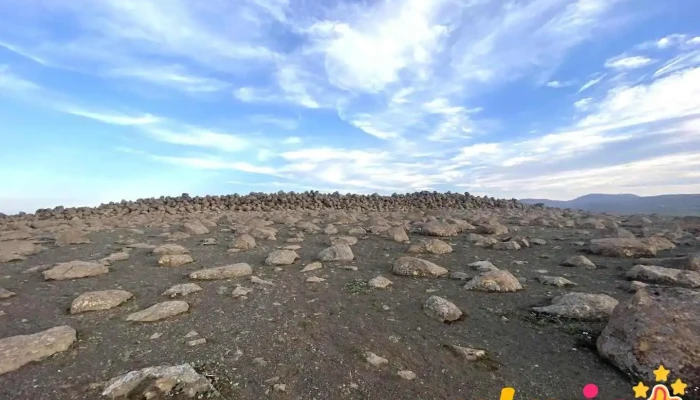 Skessugarður - 7Cmh+37R