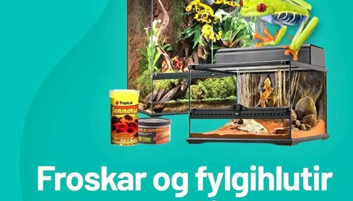 Skrautfiskar -  Fra Eiganda - Reykjavík