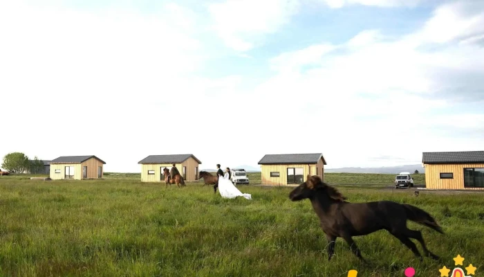 Sleeping with the horses, cabins - Iceland
