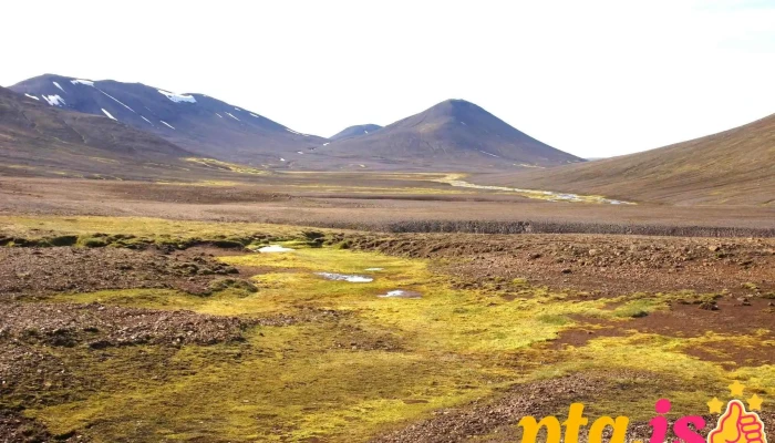 Snaefellsskali Hut Fra Gestum - Egilsstaðir