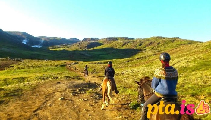 Sólhestar Horse Rental Reykjadalur - Reykjadalur 9