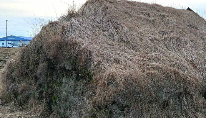 Stekkjarkot -  Instagram - Njarðvík