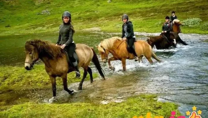 Stora Sandfell Horse Rental - Egilsstaðir