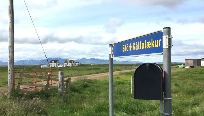 Stori Kalfalaekur Fra Eiganda - Borgarnes