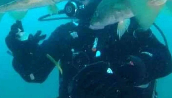 Strytan Divecenter Athugasemdir - Laufás