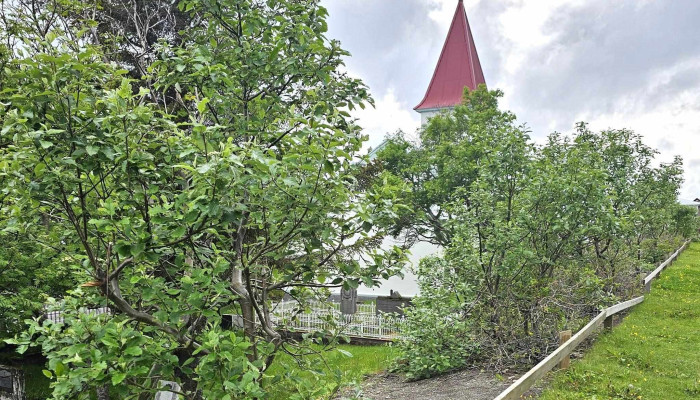 Sundlaug Patreksfjardar Numer - Patreksfjörður
