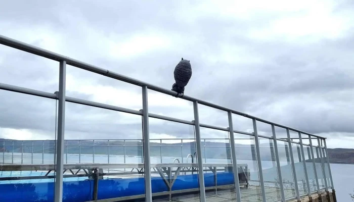 Sundlaug Patreksfjardar Patreksfjorður - Patreksfjörður