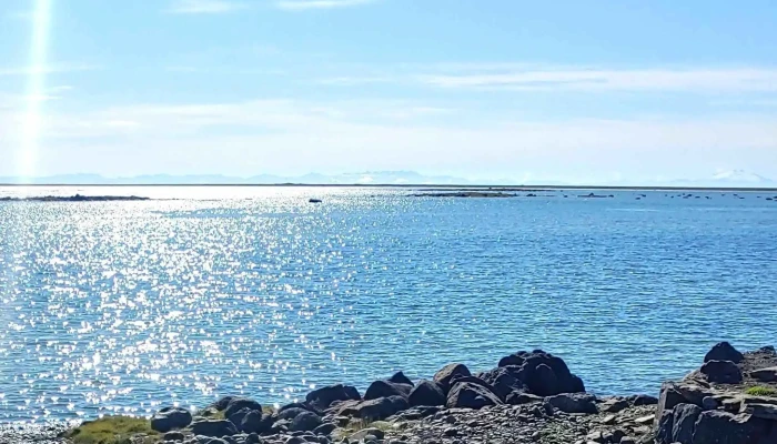 Sundlaugin Laugarnesi Birkimel -  Einkunn - Patreksfjörður