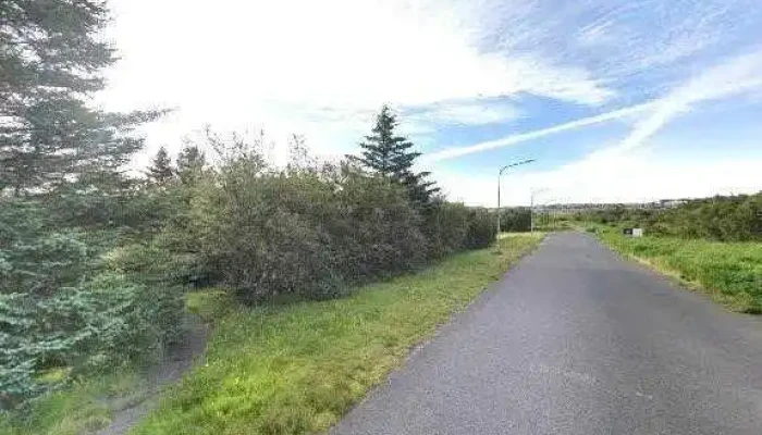 Surefni Vottadar Einingar Vefhonnun Og Vefsiður - Reykjavík