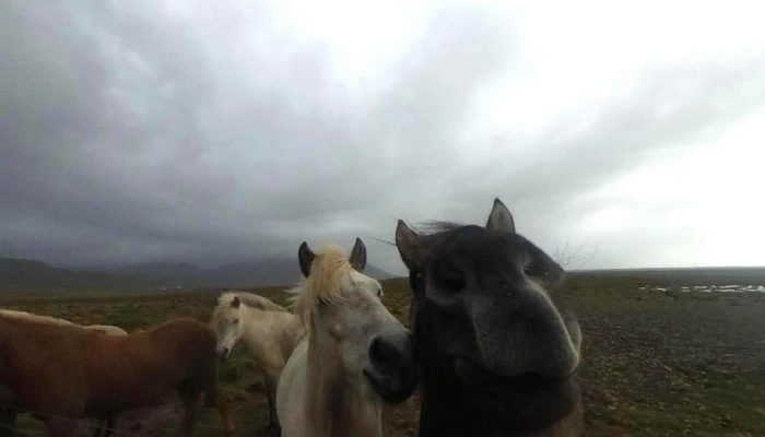 Sydra Lagafell Street View 360deg - Hjardharfell