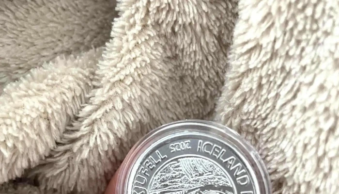 The First Iceland Mint Ehf Vefsiða - Grundarfjörður