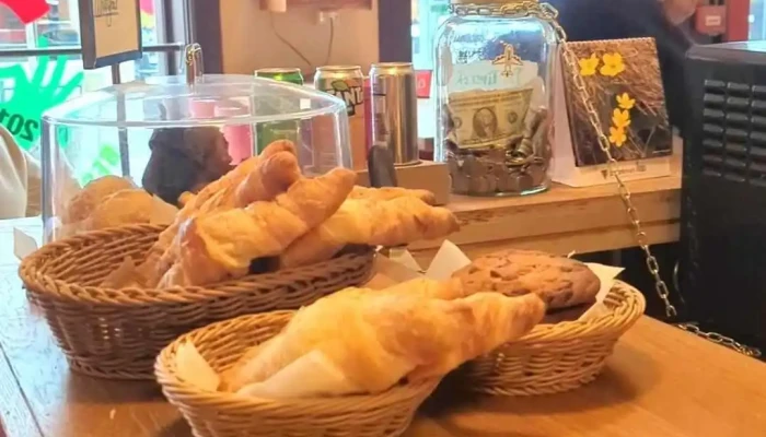 The Laundromat Cafe -  Myndskeid - Reykjavík