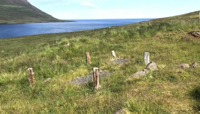 Thorarinsstadir Vefsiða - Dvergasteinn