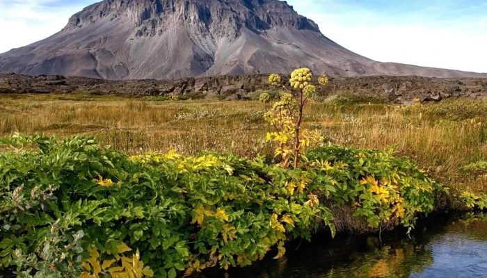 Thorsteinsskali Myndbond - Öskjuleið