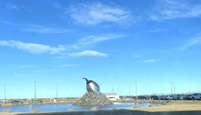 Thotuhreidrid Jetnest Vefsiða - Keflavík