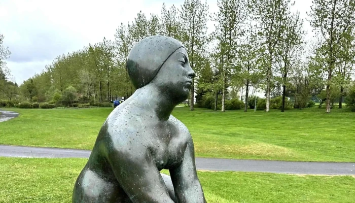 Thvottakona Kynning - Reykjavík