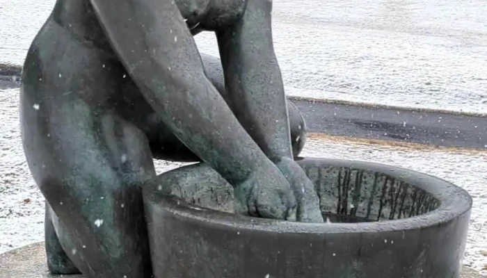 Thvottakona Myndskeid - Reykjavík