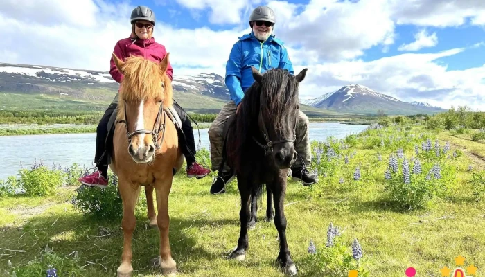 Tina's Horse Rental - 701 Egilsstaðir