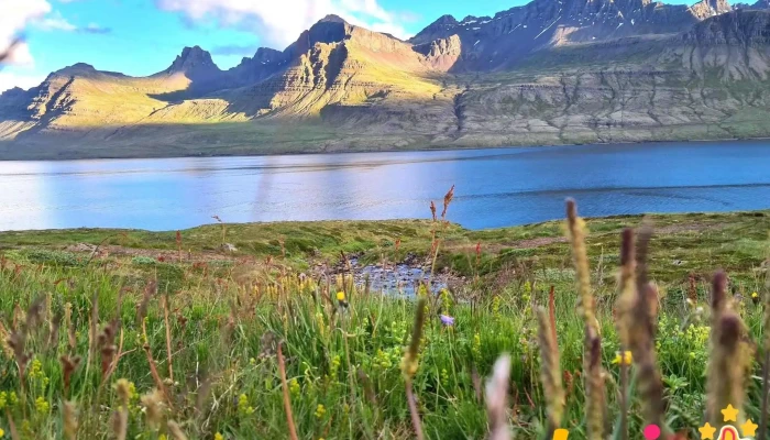 Tjaldsvaedi Stodvarfjardar Stoduvatn - Stöðvarfjörður