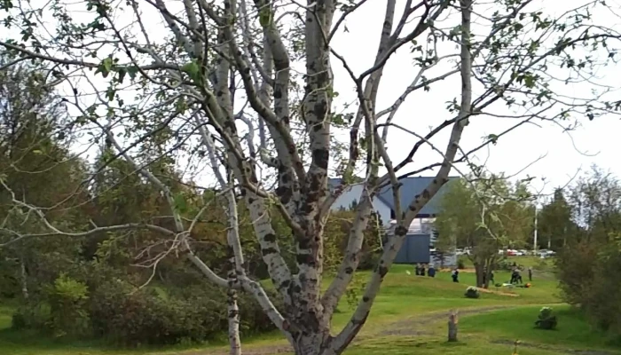 Tjarnargardur Hvernig A Að Komast þangað - Egilsstaðir