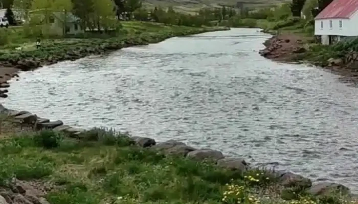 Tjarnargardur Myndskeid - Egilsstaðir