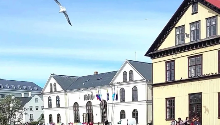Tjornin Rocks Myndir - Reykjavík