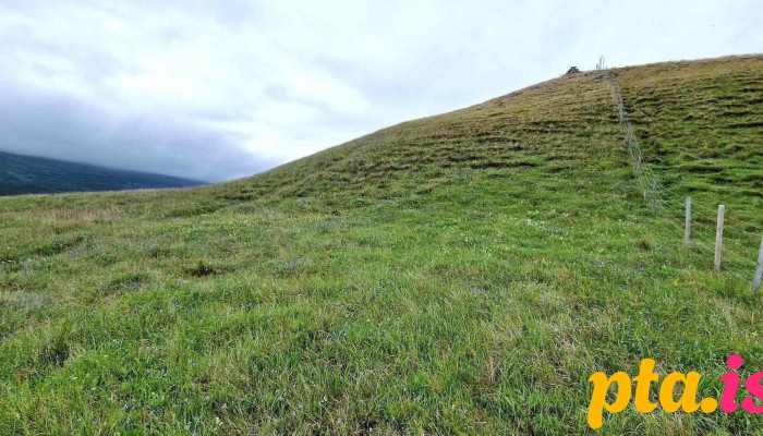 Tofufoss Fjall - Fljótsdalsvegur