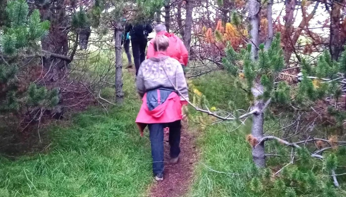 Utivist Reykjavik 5 - Reykjavík